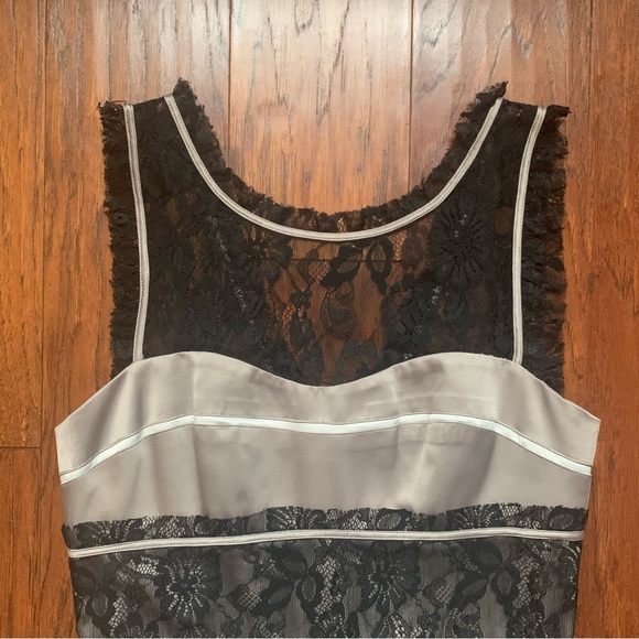 🌈 BCBG Lace Stripe Dress in Warm Grey | Size 6 - Picture 3 of 9